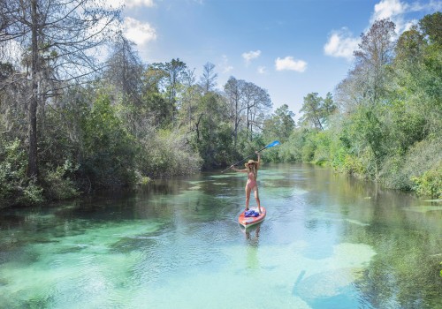Eco-Friendly Hospitality in Fort Lauderdale, FL